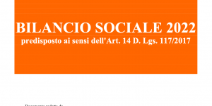2022_Bilancio Sociale_art_32_onlus